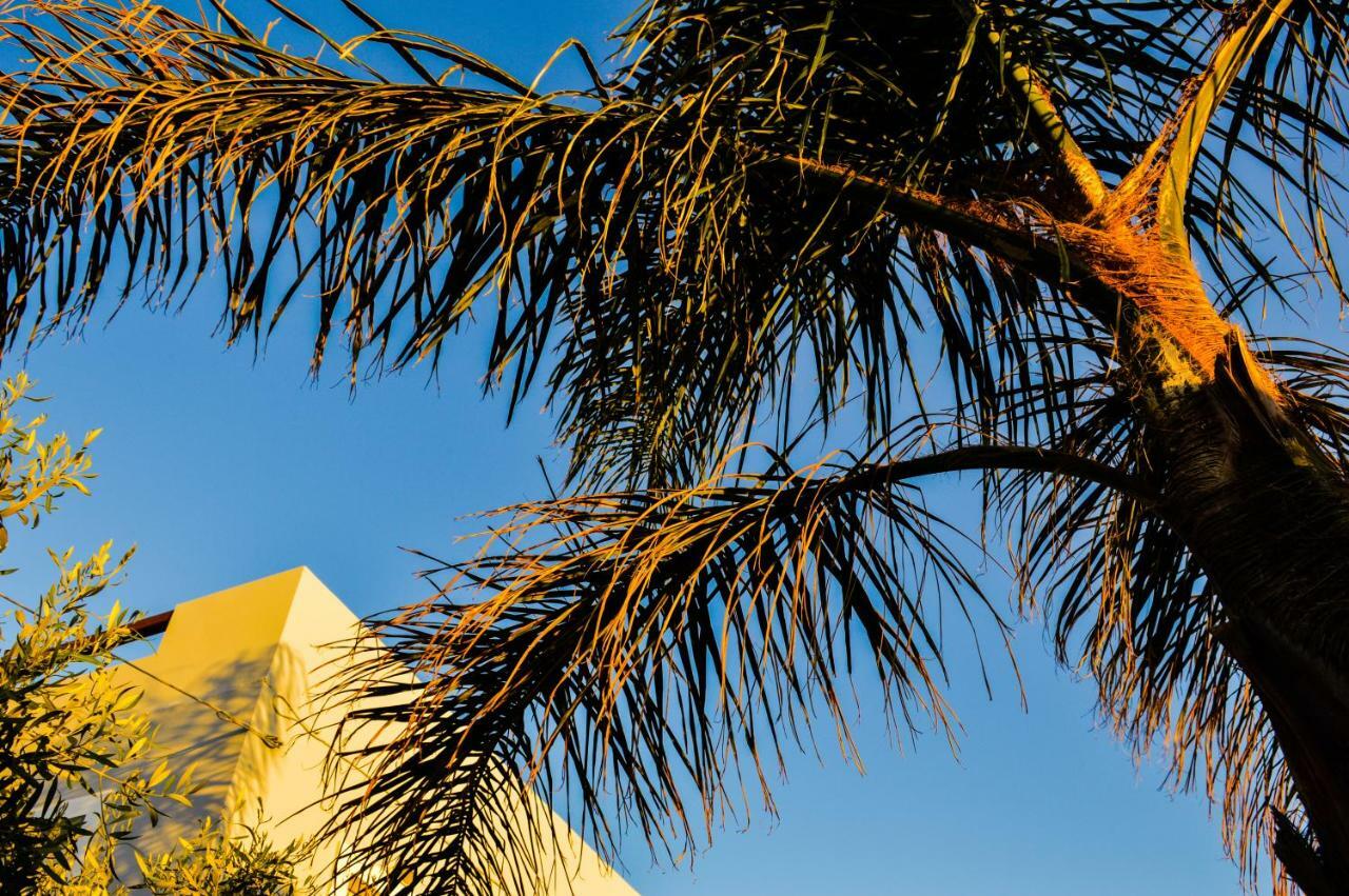 United Blue Resorts - White Sand كارتيروس المظهر الخارجي الصورة